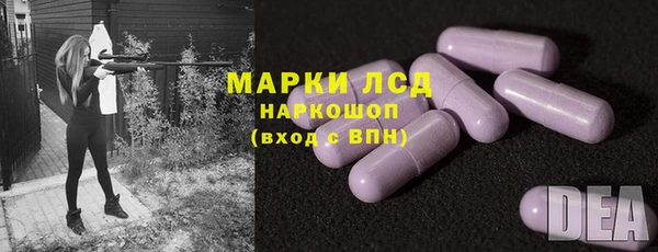 стафф Алексин