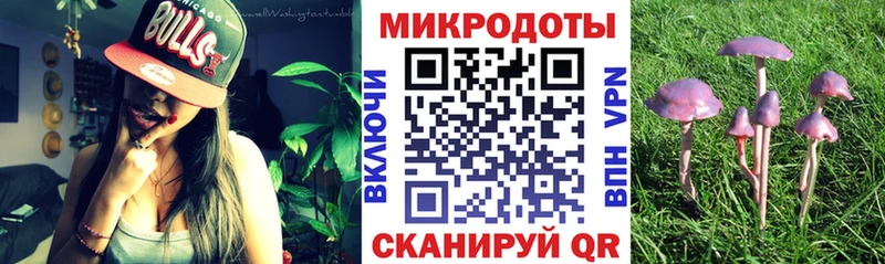 Галлюциногенные грибы Psilocybine cubensis Чёрмоз