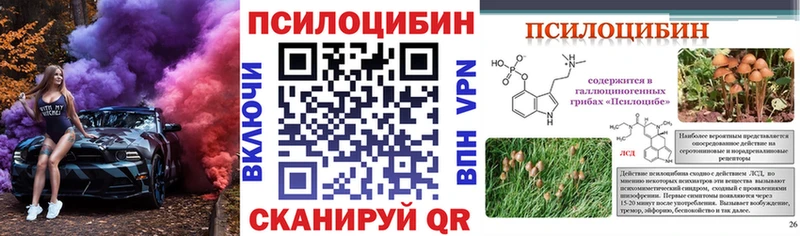 Галлюциногенные грибы Cubensis  магазин    Чёрмоз 
